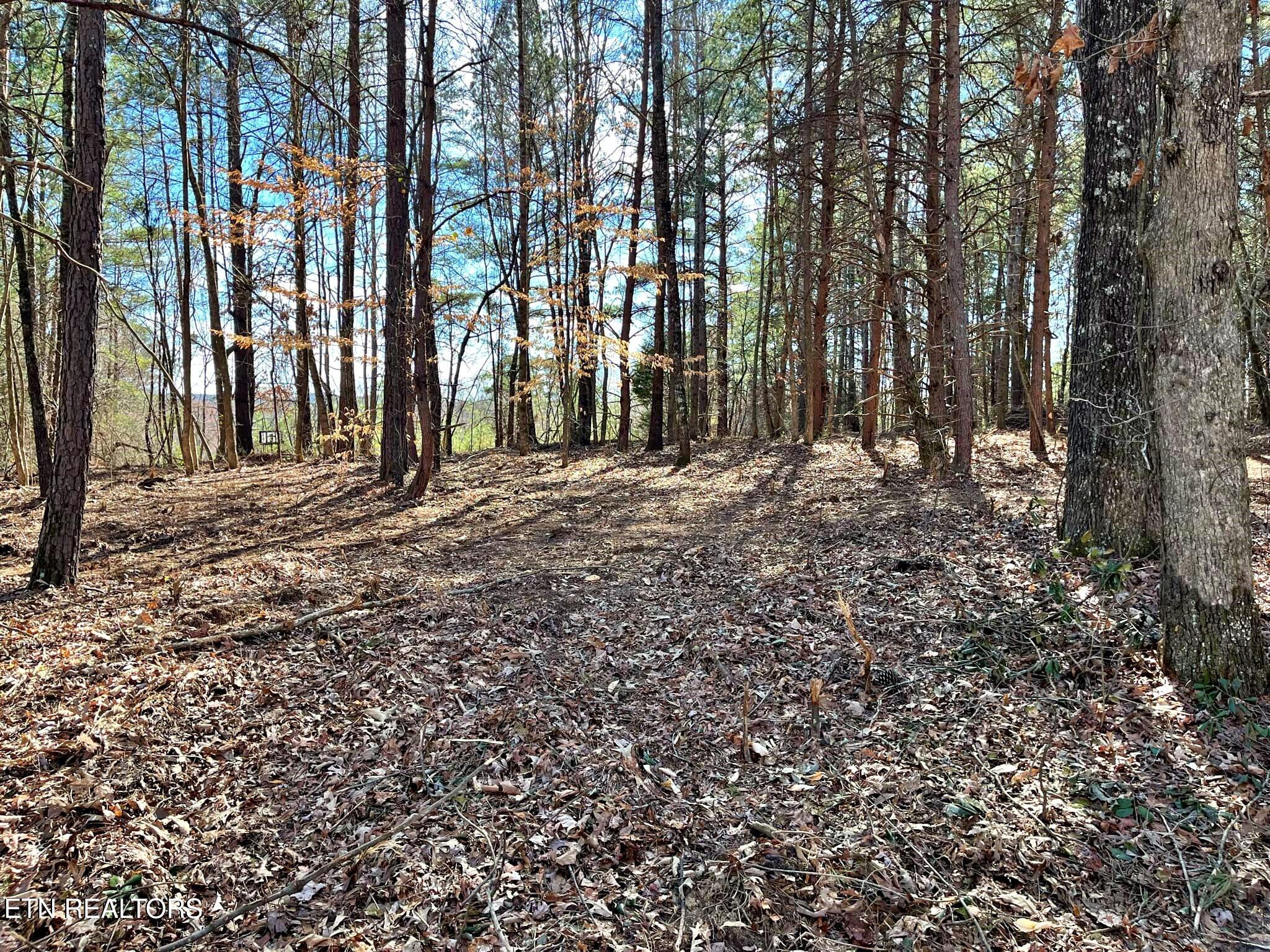 Oak Grove Road Decatur, TN 37322 - Photo 5 of 30 461d5b82-9cc3-4c39-b422-7a1efe8ce782