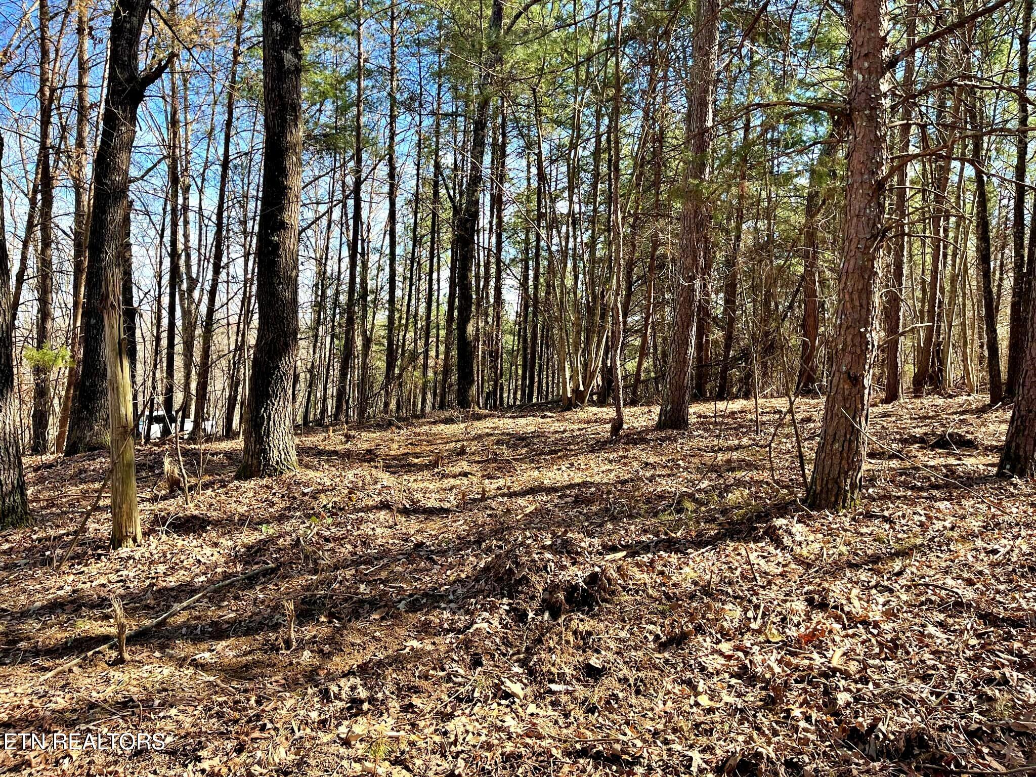 Oak Grove Road Decatur, TN 37322 - Photo 6 of 30 d4ece952-abd0-410b-9002-21829ad570b3