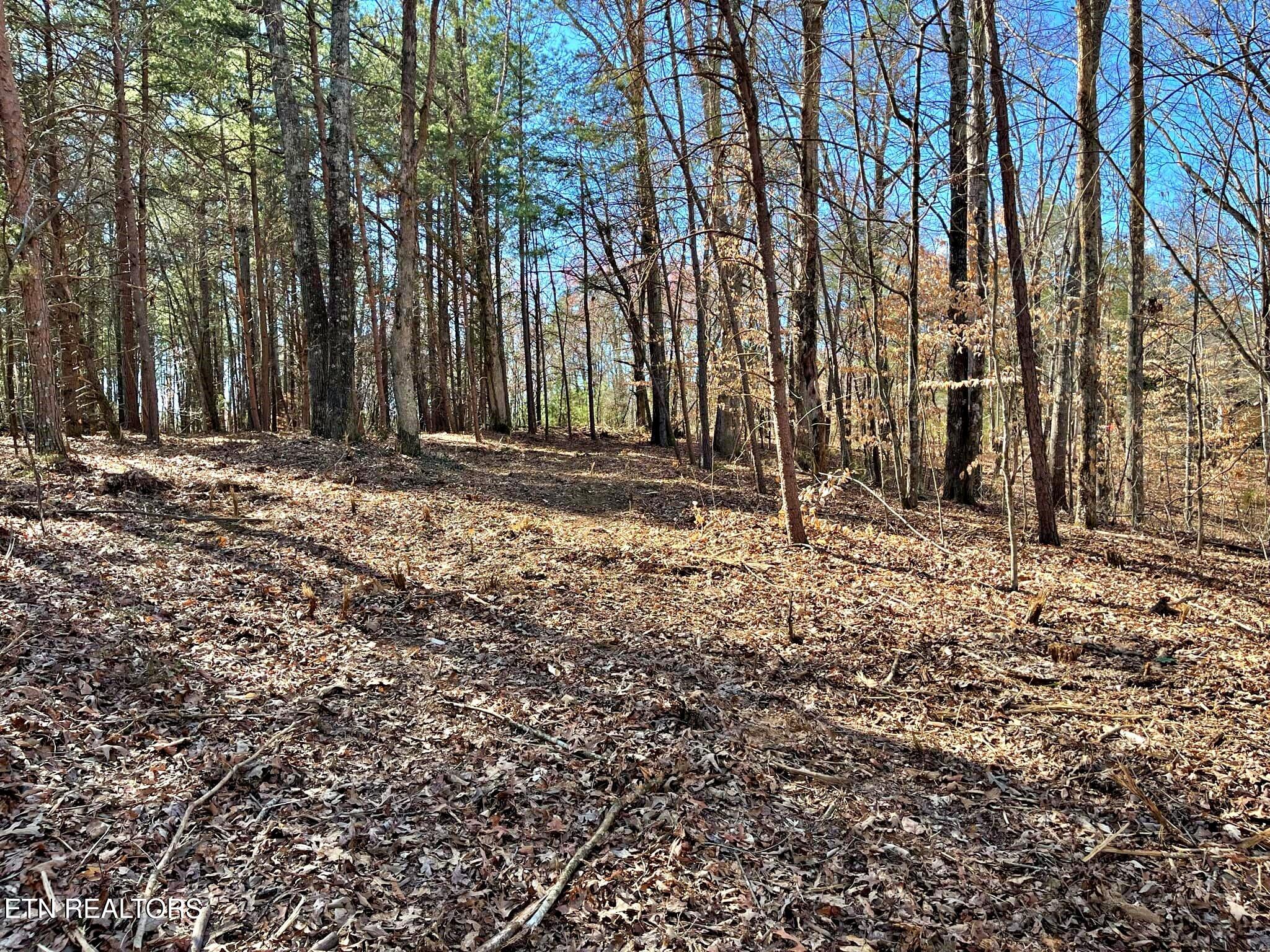 Oak Grove Road Decatur, TN 37322 - Photo 8 of 30 27481d3e-d5df-4b23-a7b6-212c03029fe7