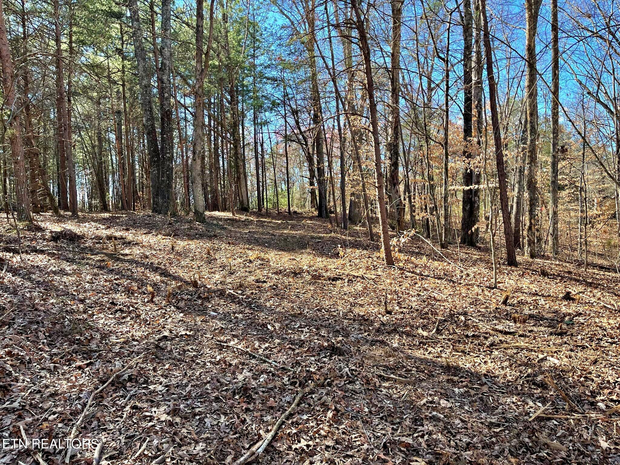 Oak Grove Road Decatur, TN 37322 - Photo 9 of 30 4cecf7d4-3b55-4941-96bc-8df9c5eac6de