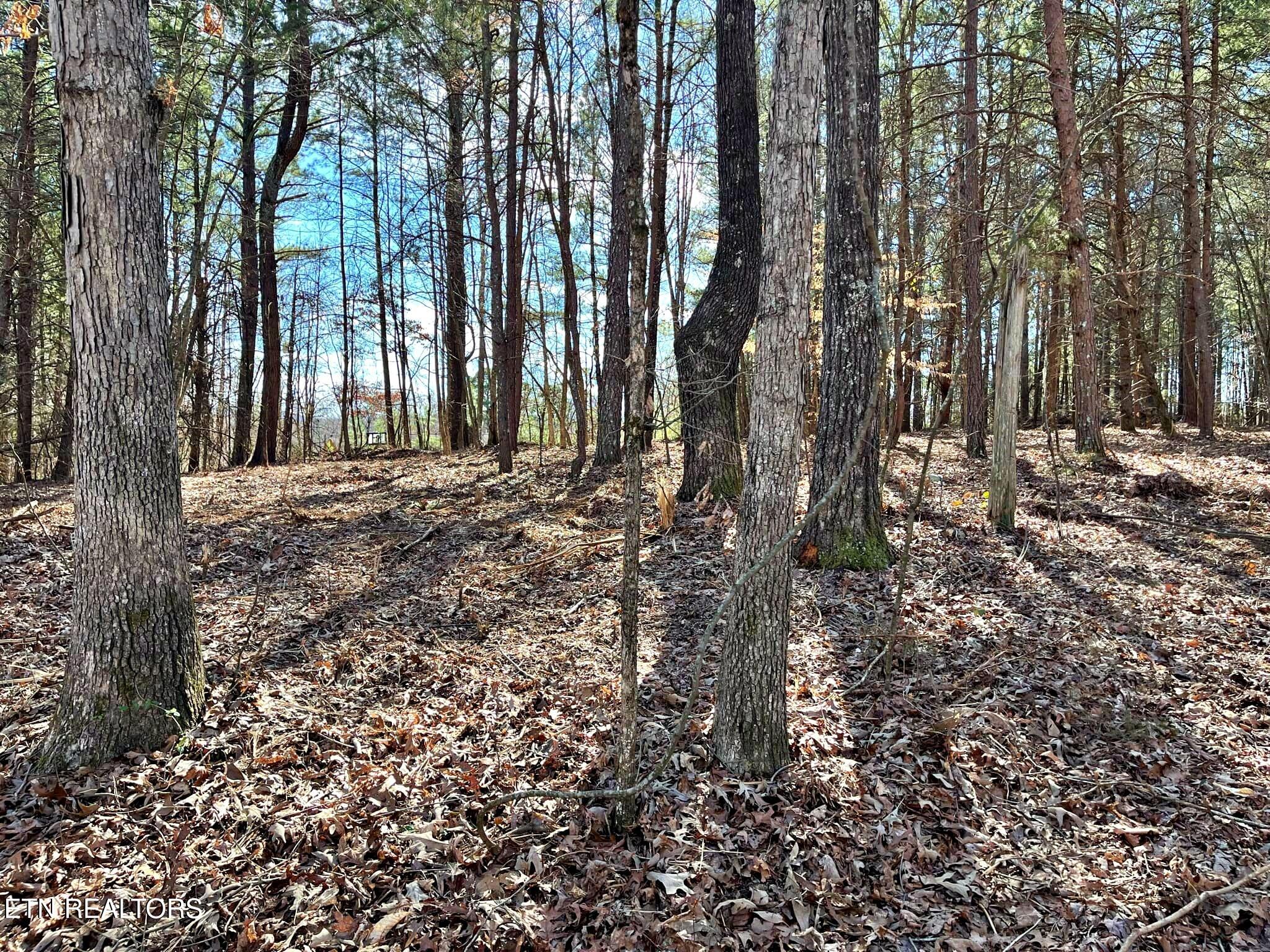 Oak Grove Road Decatur, TN 37322 - Photo 10 of 30 5d2384f6-9816-4d1f-ad09-57eeb4a93834