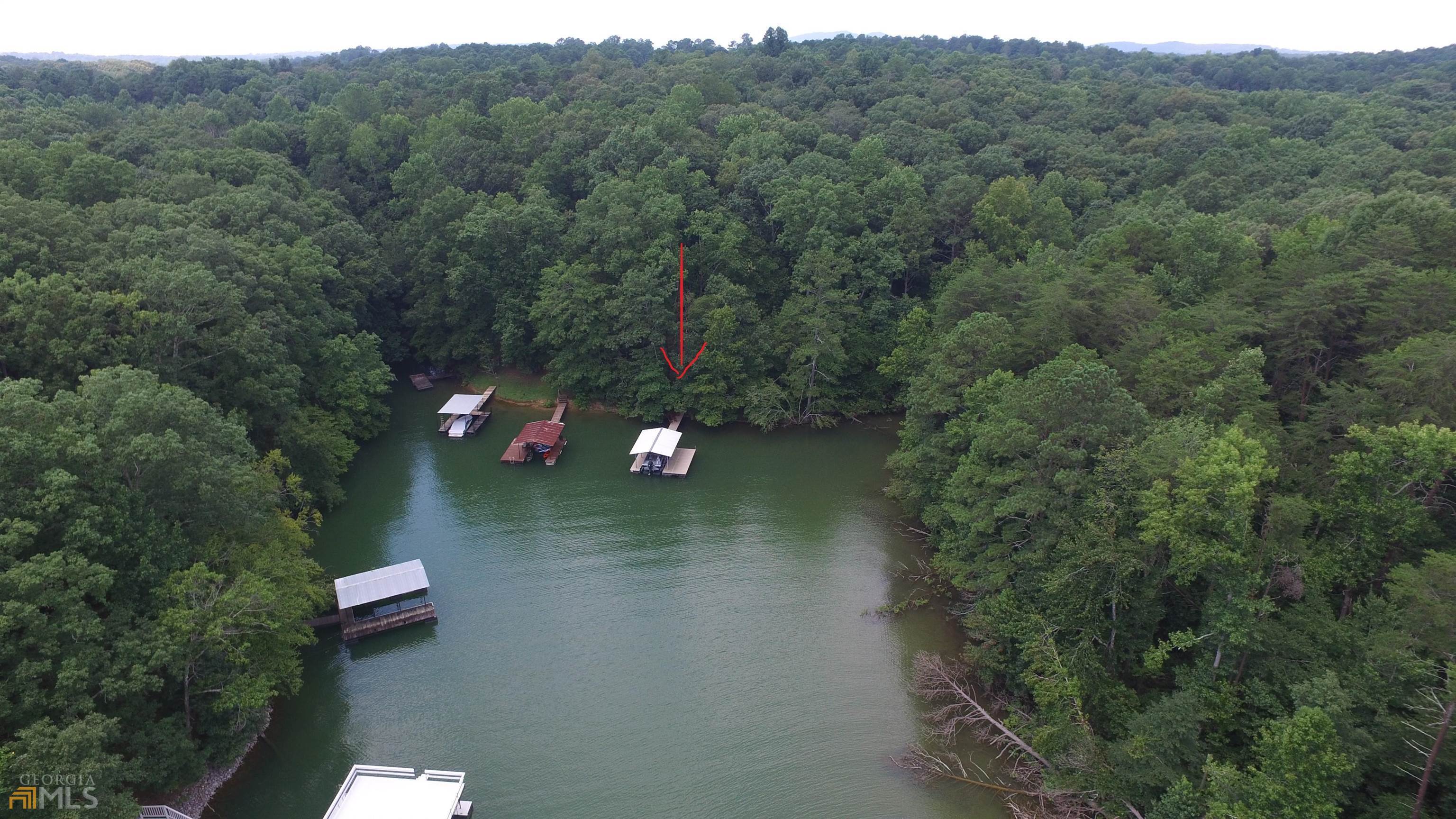 3086 Still Road Cumming, GA 30041 - Photo 1 of 1 a view of a lake in middle of forest