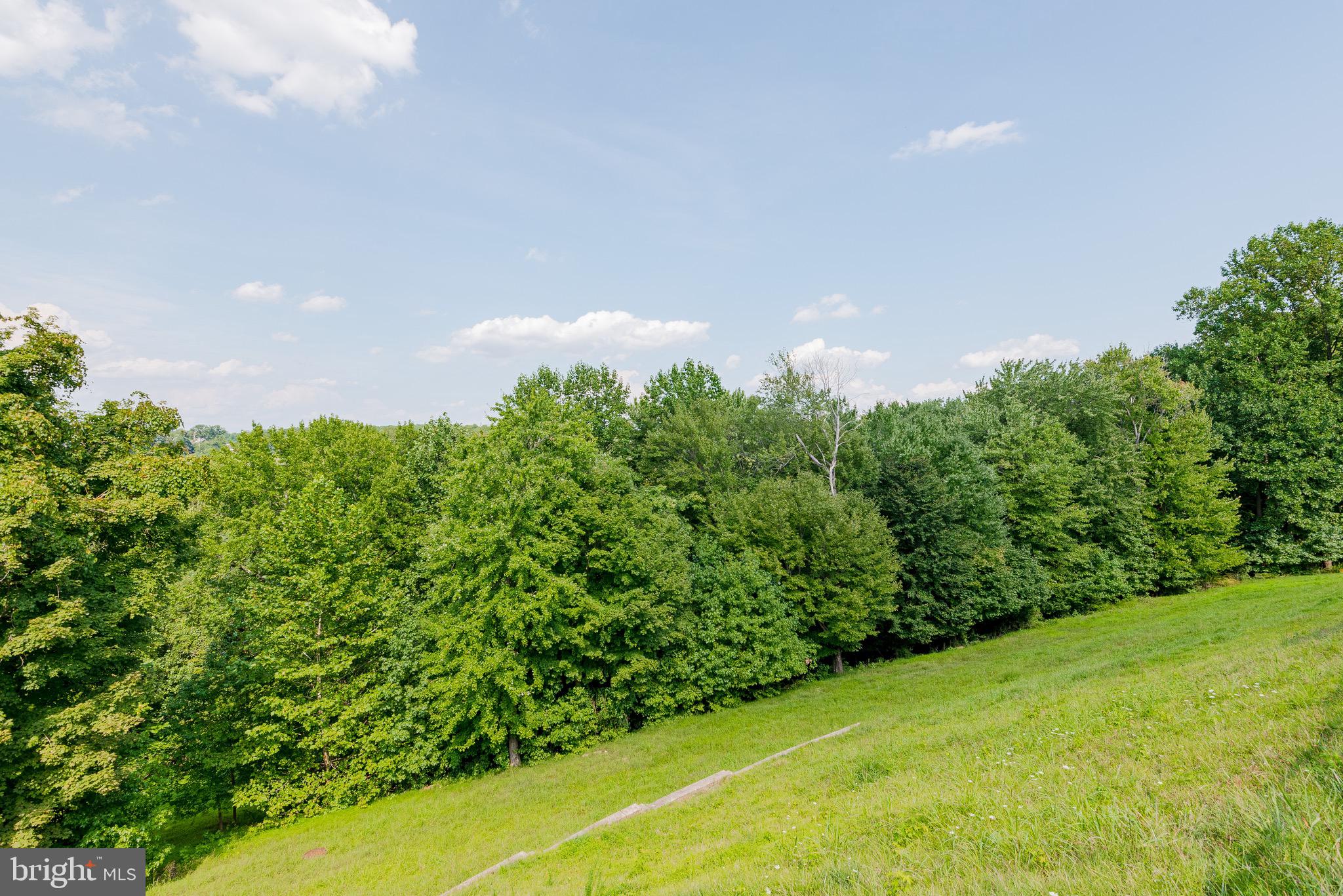 8312 Meadowsweet Road Baltimore, MD 21208 - Photo 22 of 62 Gallery Image 22