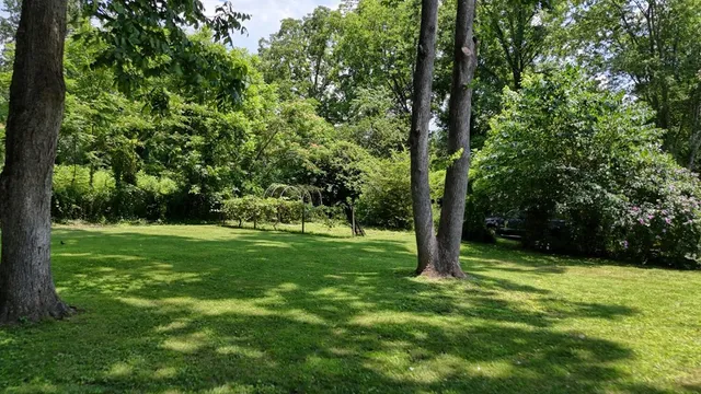 a view of a house with a yard and large tree