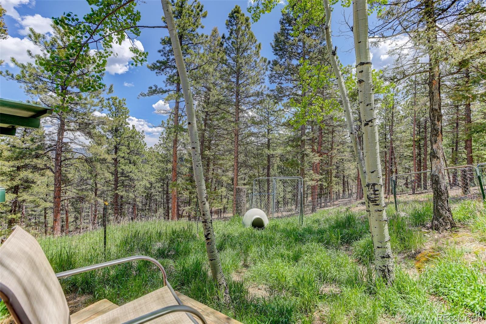 539 South Random Road Bailey, CO 80421 - Photo 18 of 46
