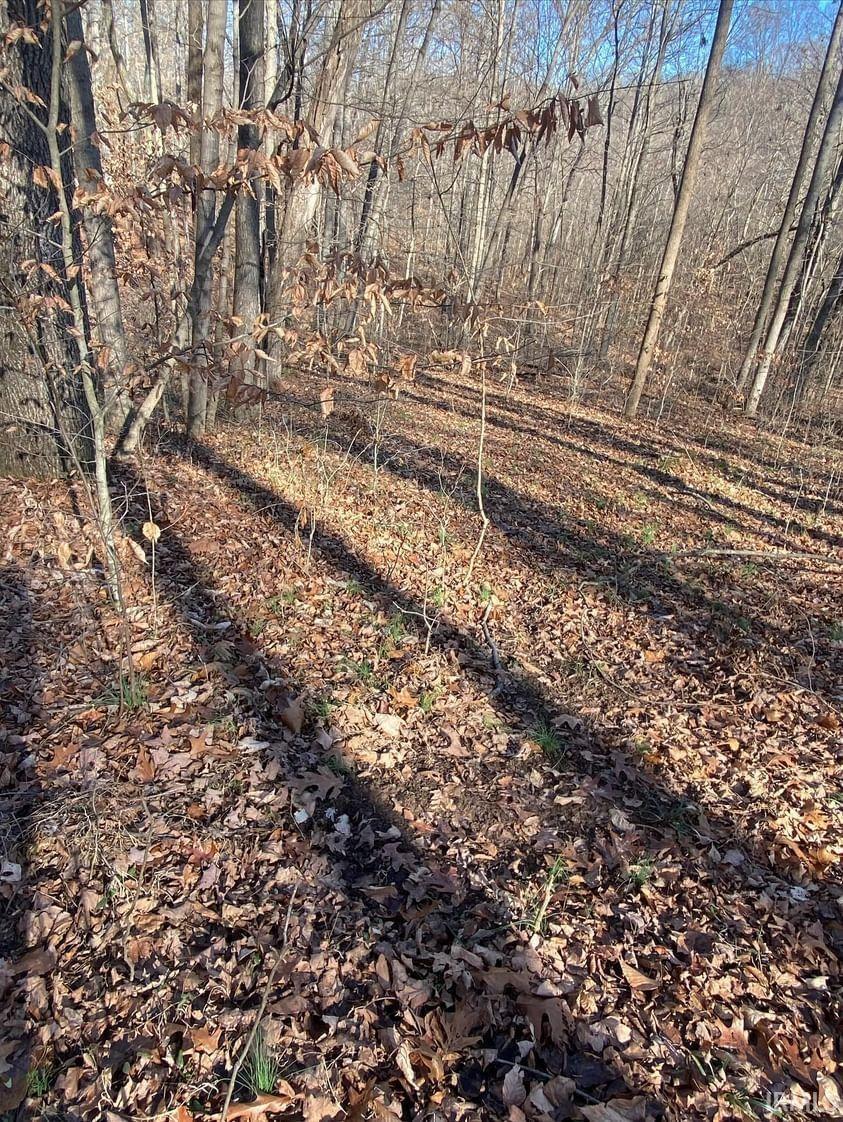 7048 Liberty Road Tell City, IN 47586 - Photo 24 of 35 Gallery Image 24