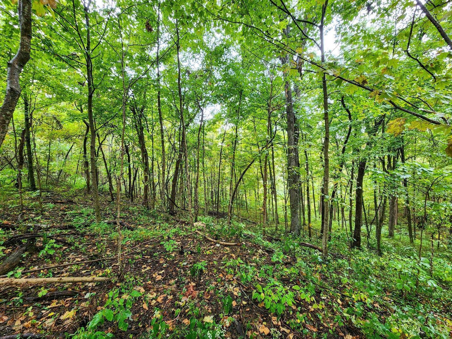 0 Twp Road Willow Wood, OH 45696 - Photo 1 of 9