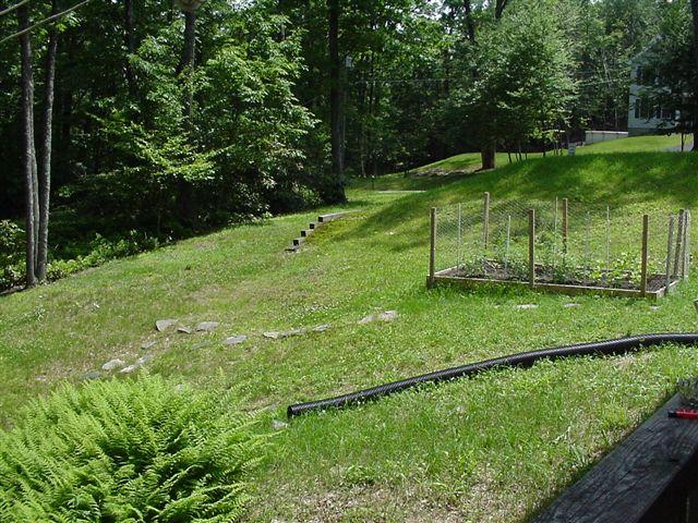 3478 Devils Hole Road Cresco, PA 18326 - Photo 3 of 8 a view of a park with large trees