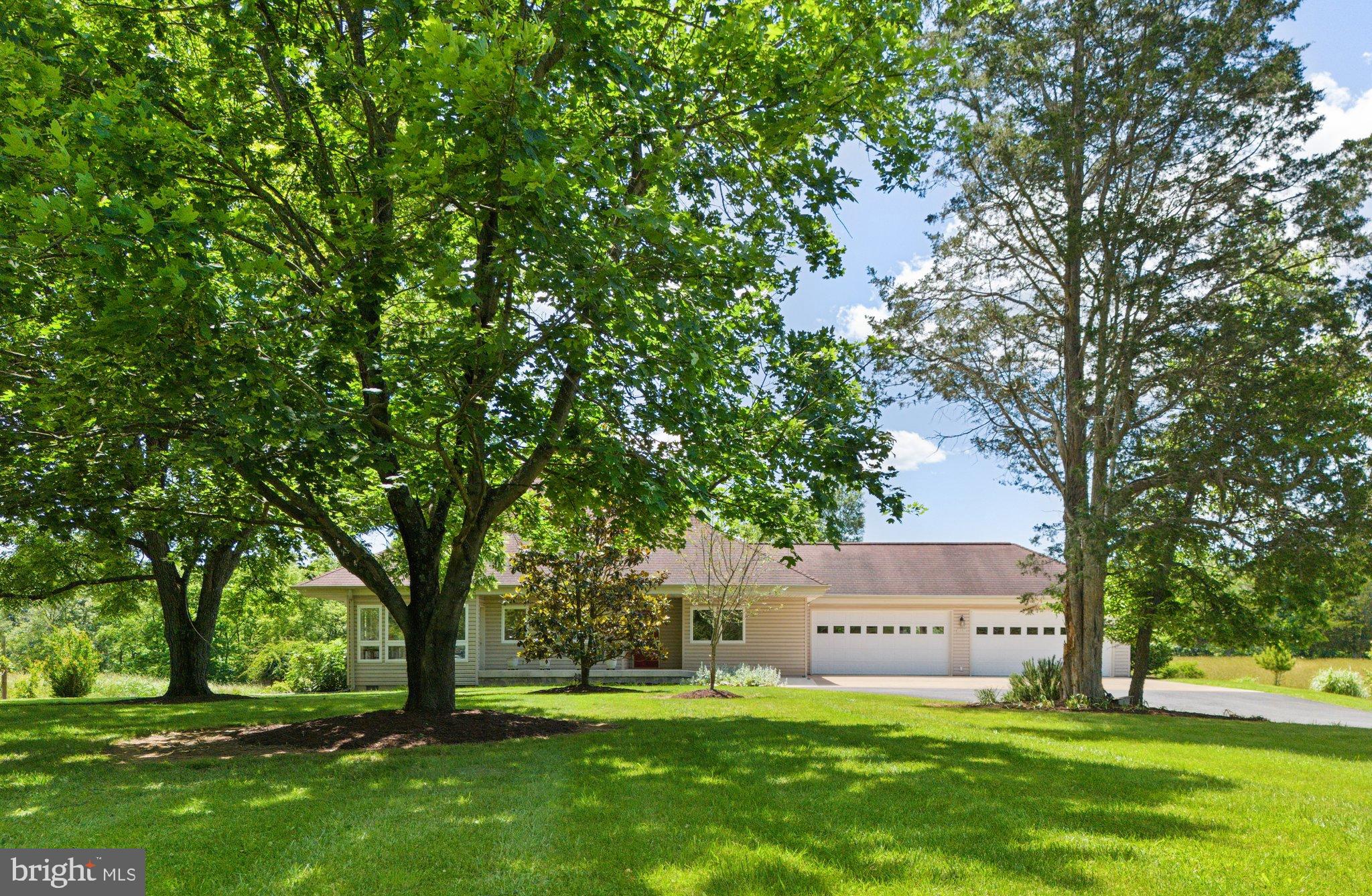 1050 Tea Berry Road Maurertown, VA 22644 - Photo 3 of 41 Private & Peaceful 19-acres