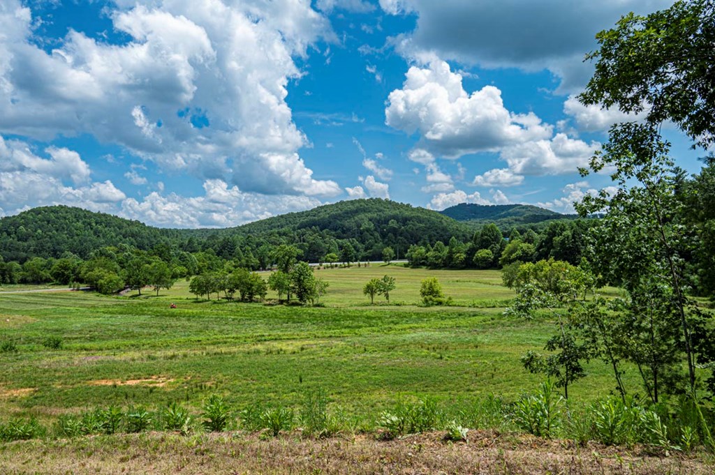 151 The Ridges Morganton, GA 30560 - Photo 10 of 35 Views of the Community
