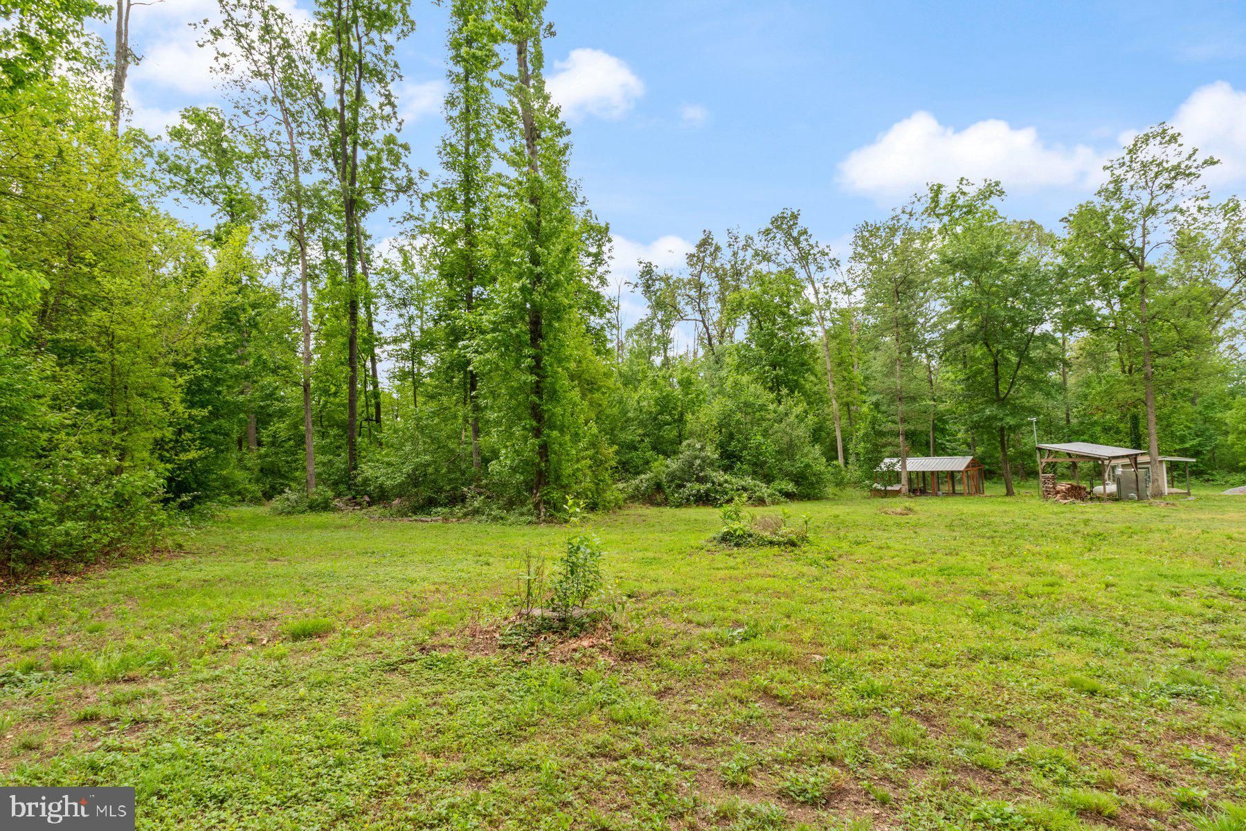 11207 Keymar Road Woodsboro, MD 21798 - Photo 36 of 38 Yard
