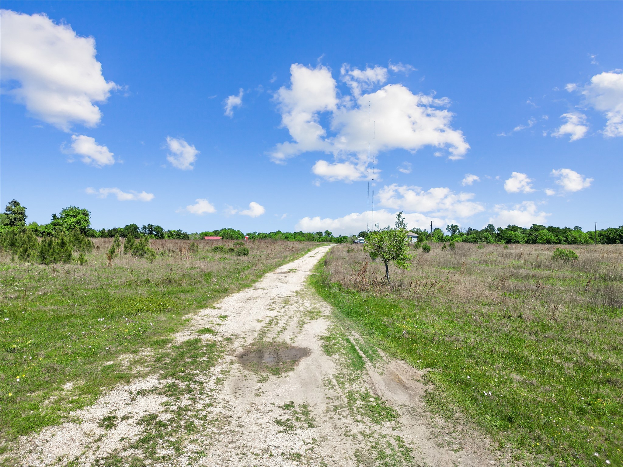 11242 Longstreet Road Willis, TX 77318 - Photo 4 of 10 a view of a lake with a lake