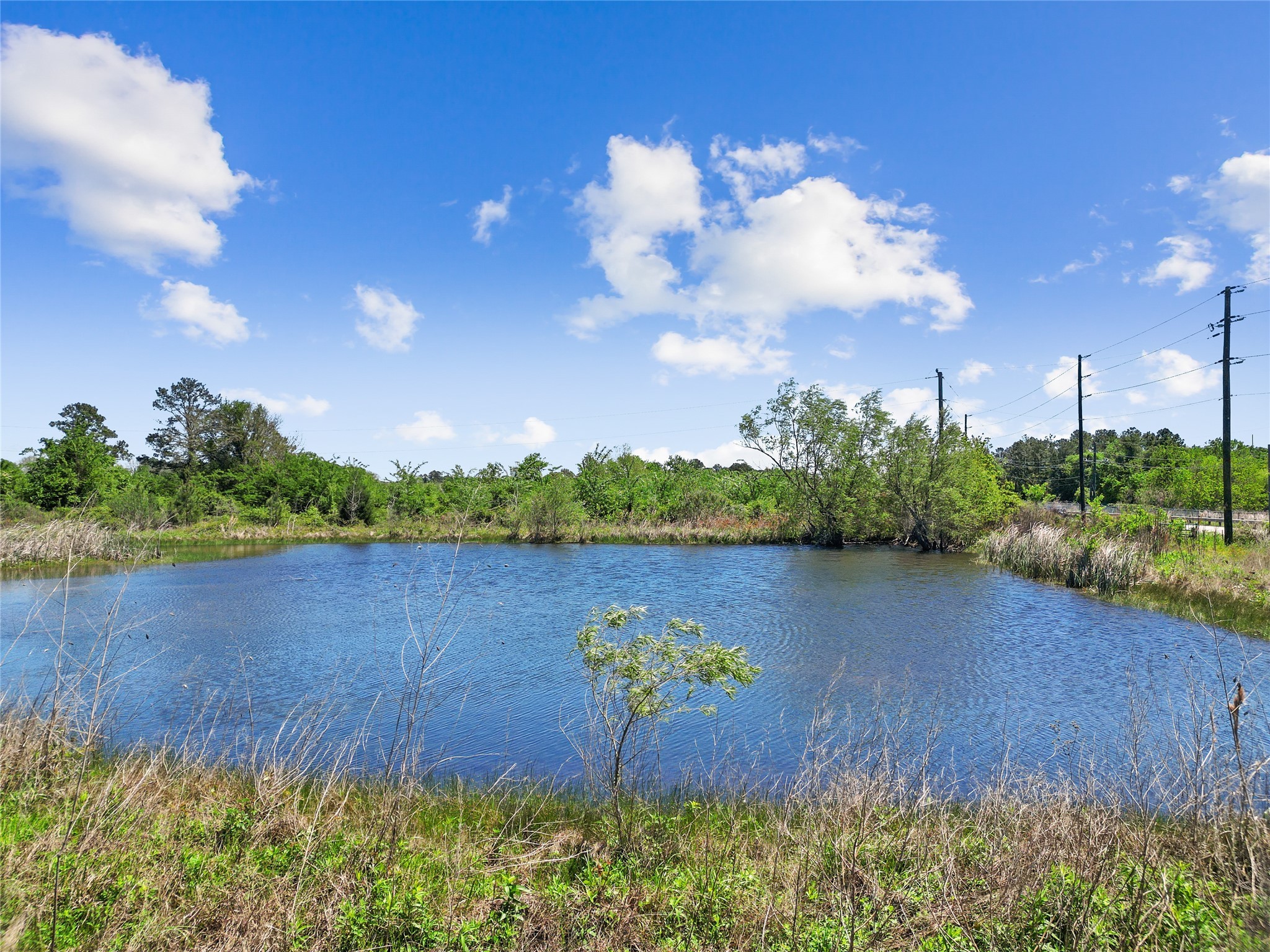 11242 Longstreet Road Willis, TX 77318 - Photo 6 of 10 a view of a lake with a building in the background