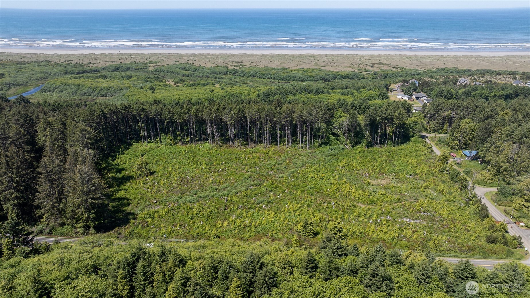 a view of a field with a lush green forest