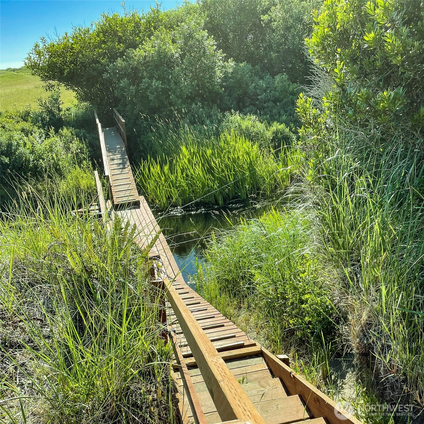 2 Dolphin Street Copalis Beach, WA 98535 - Photo 11 of 40 a view of an outdoor space