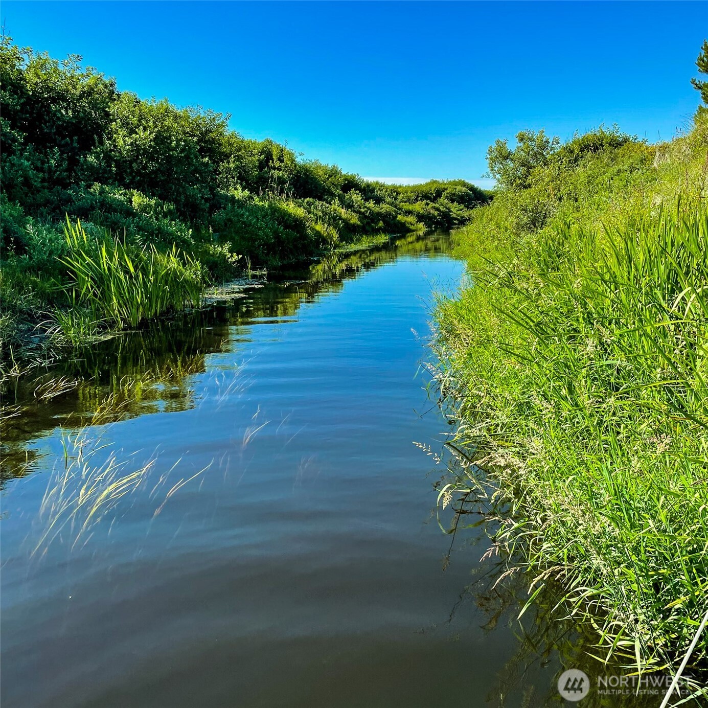 2 Dolphin Street Copalis Beach, WA 98535 - Photo 12 of 40