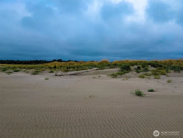 a view of a flower in a garden