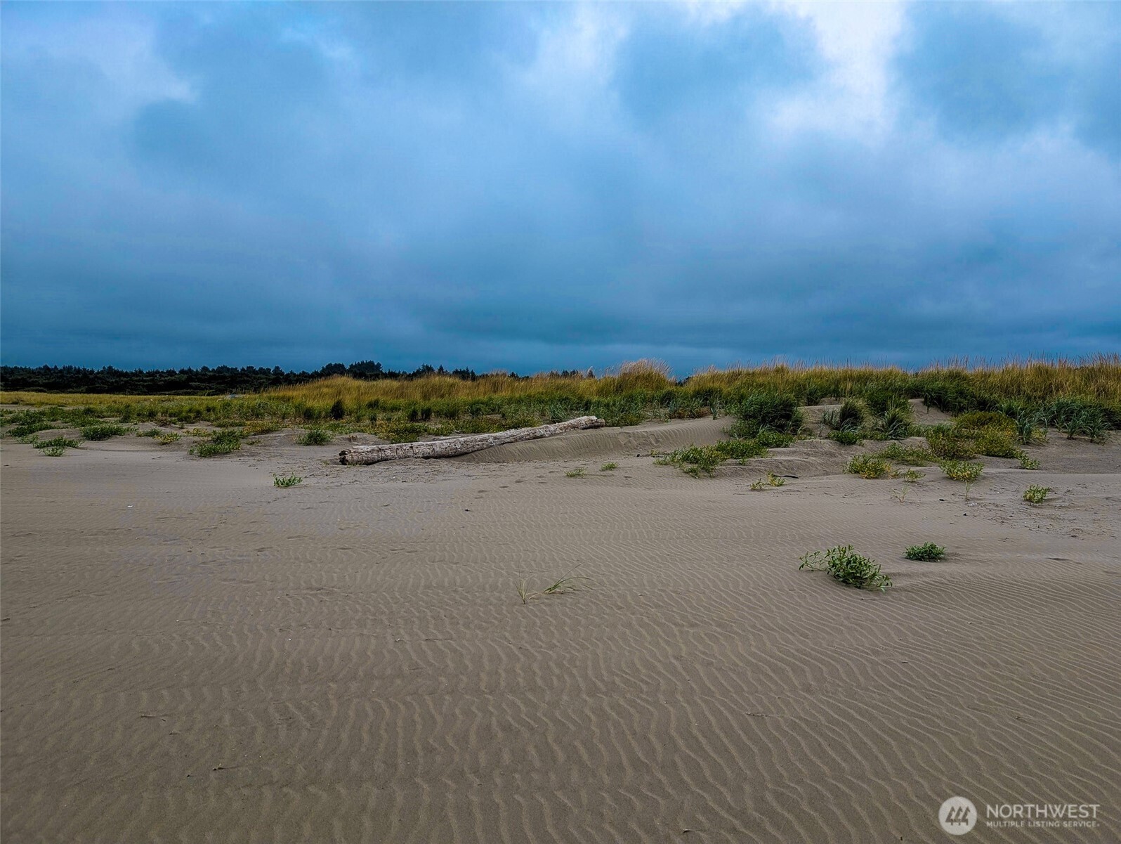 2 Dolphin Street Copalis Beach, WA 98535 - Photo 16 of 40