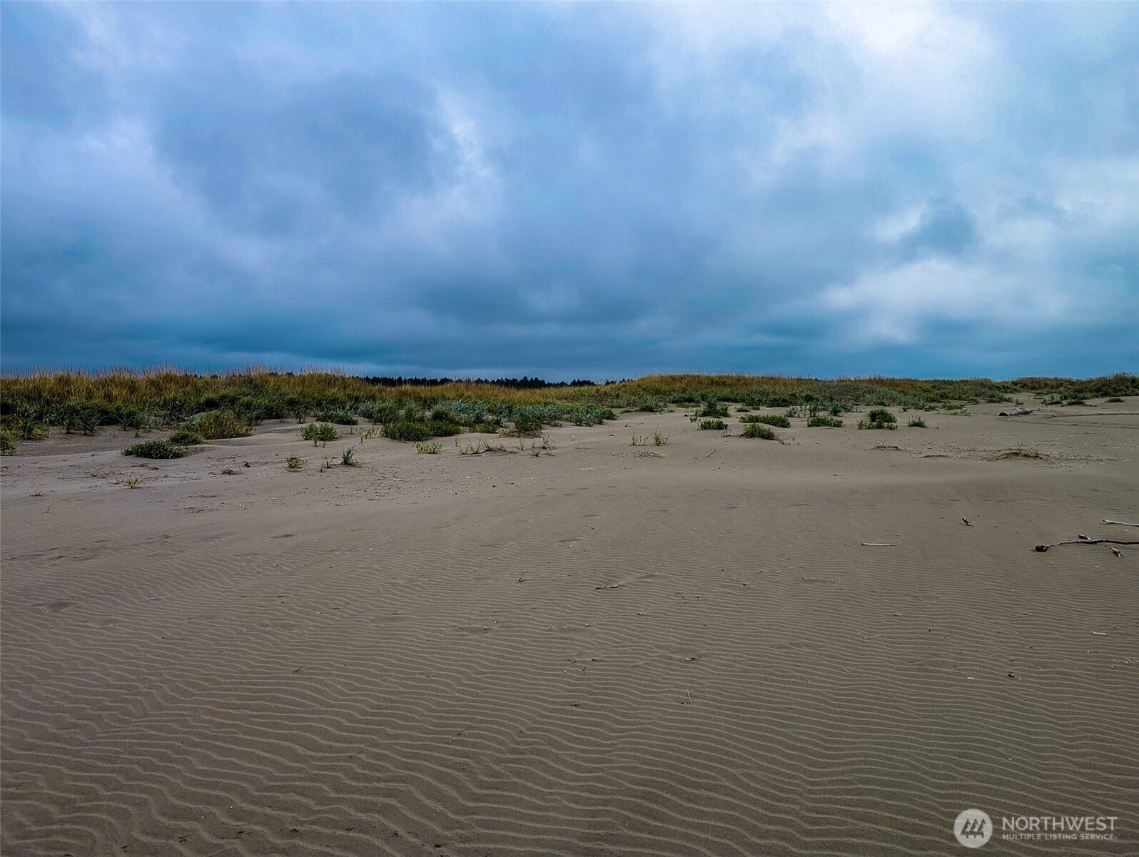 2 Dolphin Street Copalis Beach, WA 98535 - Photo 17 of 40 a view of beach and ocean