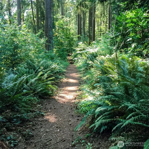 a view of a city with lush green forest