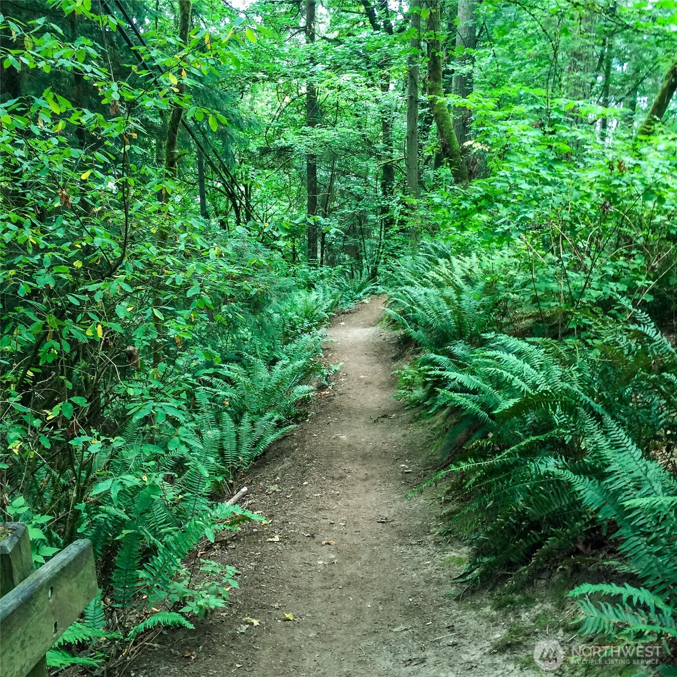 2 Dolphin Street Copalis Beach, WA 98535 - Photo 21 of 40