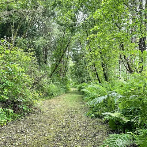 a view of a lush green forest with an outdoor space and seating