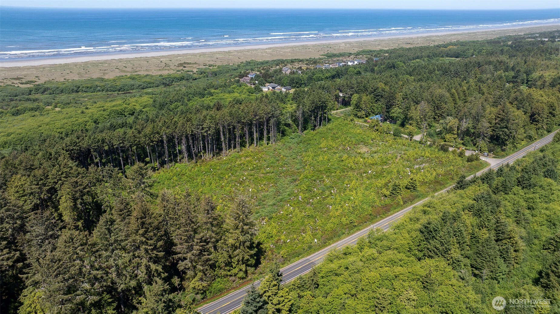 2 Dolphin Street Copalis Beach, WA 98535 - Photo 27 of 40 a view of a field with an ocean