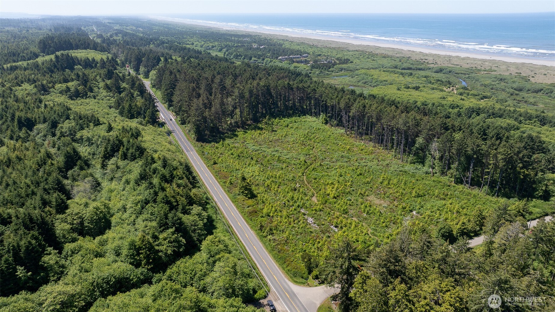2 Dolphin Street Copalis Beach, WA 98535 - Photo 30 of 40 a view of a lush green forest with an outdoor space and seating