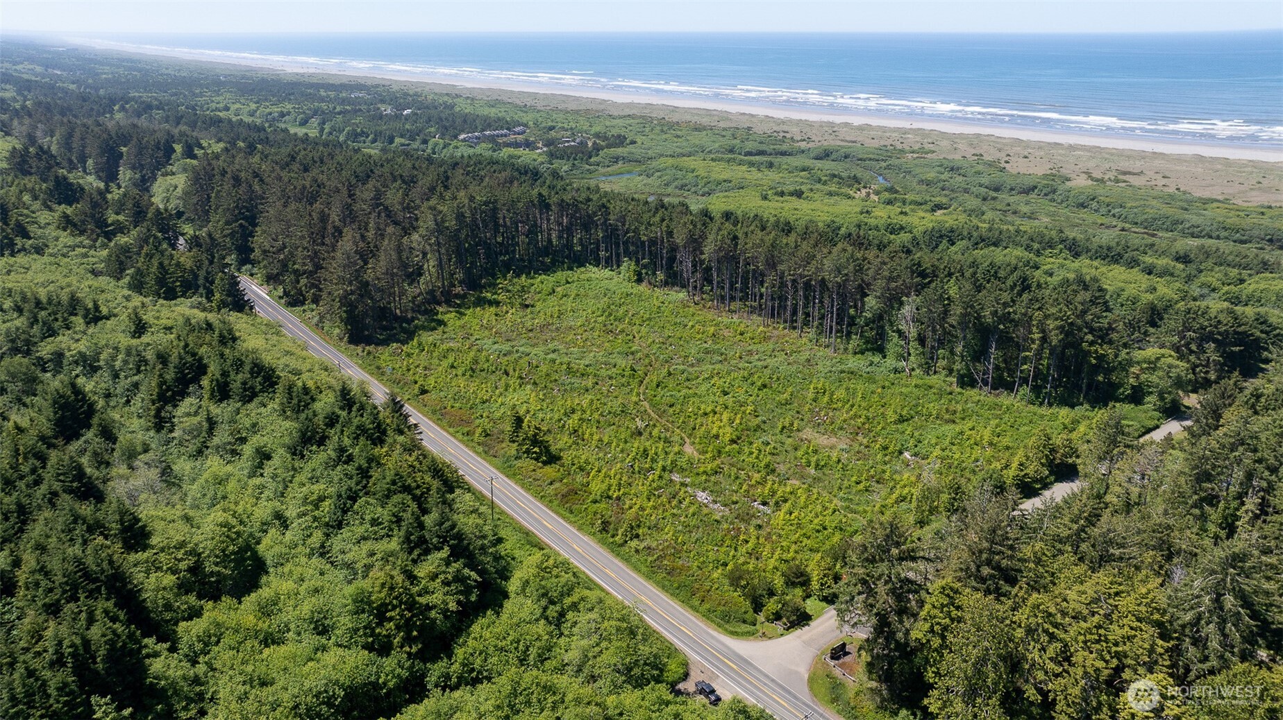 2 Dolphin Street Copalis Beach, WA 98535 - Photo 3 of 40 a view of a green field with lots of bushes