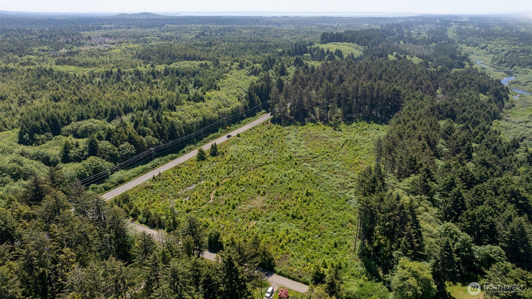 2 Dolphin Street Copalis Beach, WA 98535 - Photo 31 of 40 a view of a lush green forest with trees and some houses