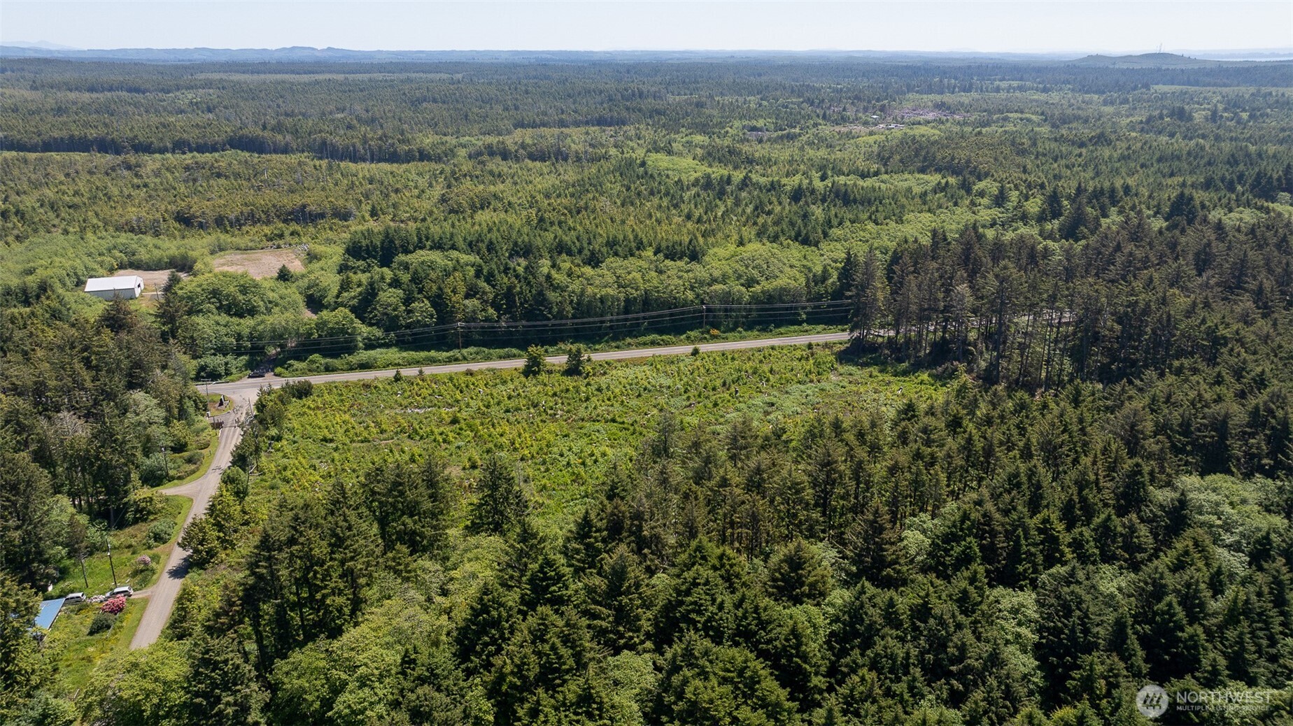 2 Dolphin Street Copalis Beach, WA 98535 - Photo 32 of 40 a view of a lush green forest with trees and some houses
