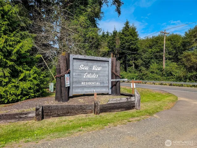 a view of a park with trees and plants