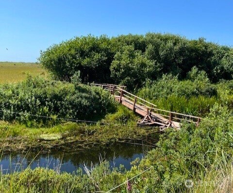 2 Dolphin Street Copalis Beach, WA 98535 - Photo 10 of 40