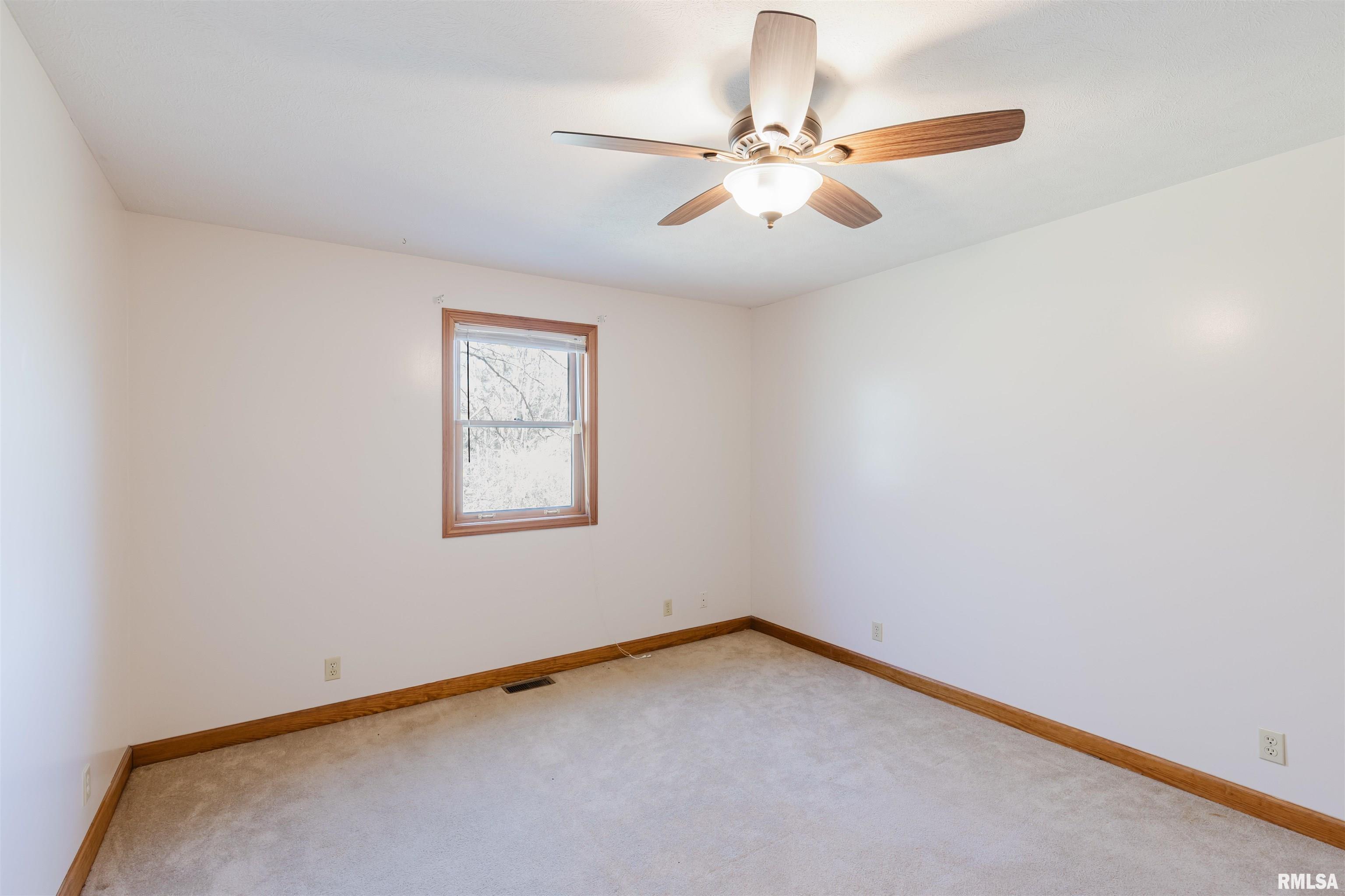 17643 Fowler School Road Pittsburg, IL 62974 - Photo 22 of 62