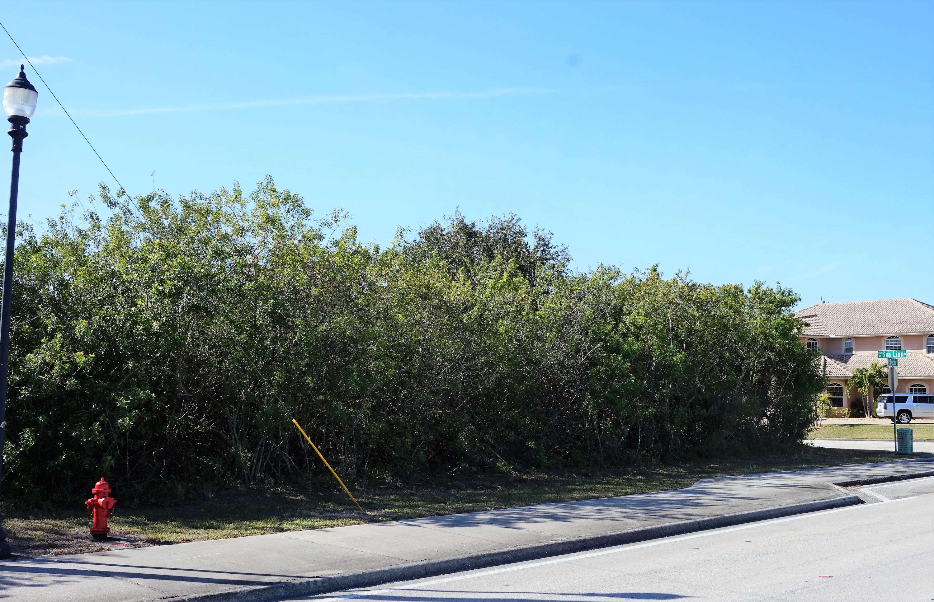 121 Southwest Sea Lion Road Port St. Lucie, FL 34953 - Photo 3 of 4 DSC08630 (2)