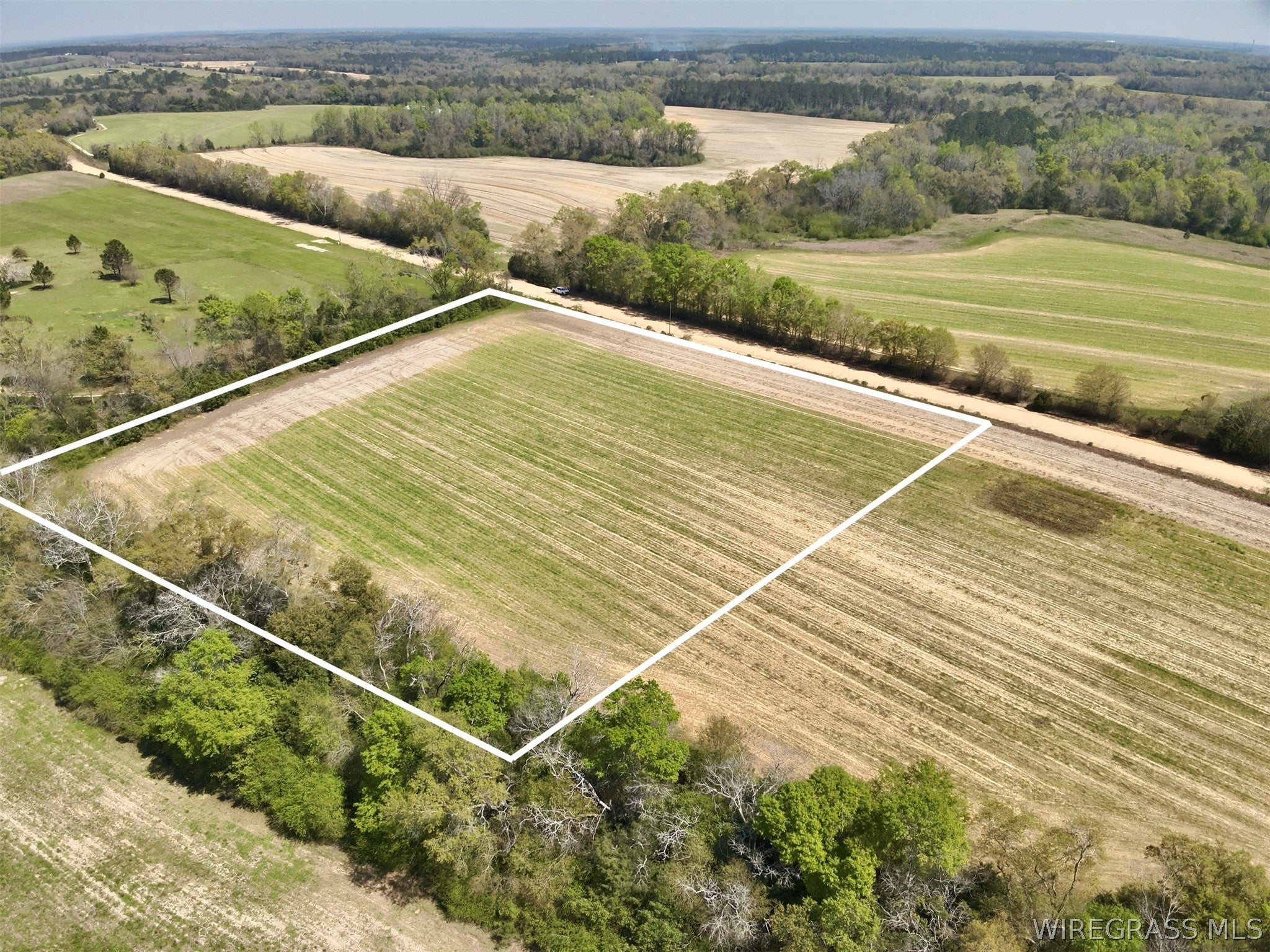 4-acres Dillard Road Ashford, AL 36312 - Photo 3 of 8 Gallery Image 3