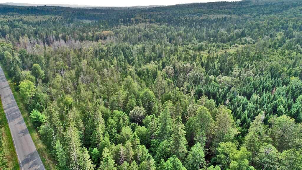 Lot 121 East Road New Sweden, ME 04762 - Photo 9 of 29 east-rd-new-sweden-me-aeria