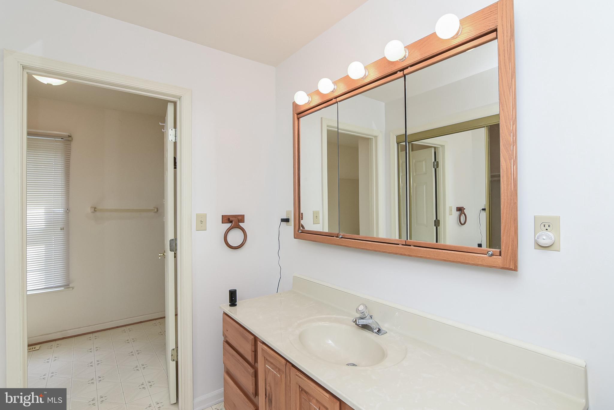 13092 Pullen Loop King George, VA 22485 - Photo 11 of 45 Master Bath separate sink area