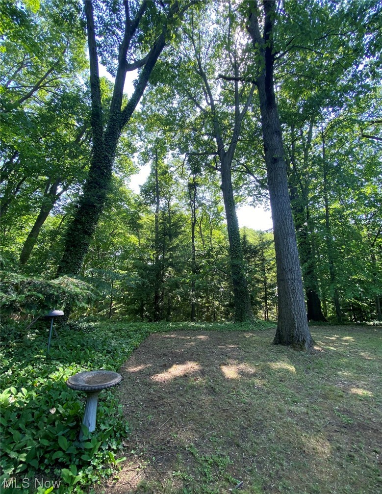 3574 Atherstone Road Cleveland, OH 44121 - Photo 35 of 35