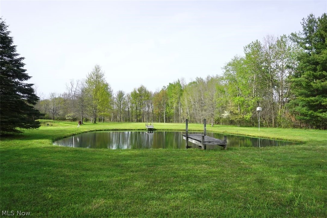 5875 Trumbull Road Geneva, OH 44041 - Photo 20 of 33 Rear yard with pond.