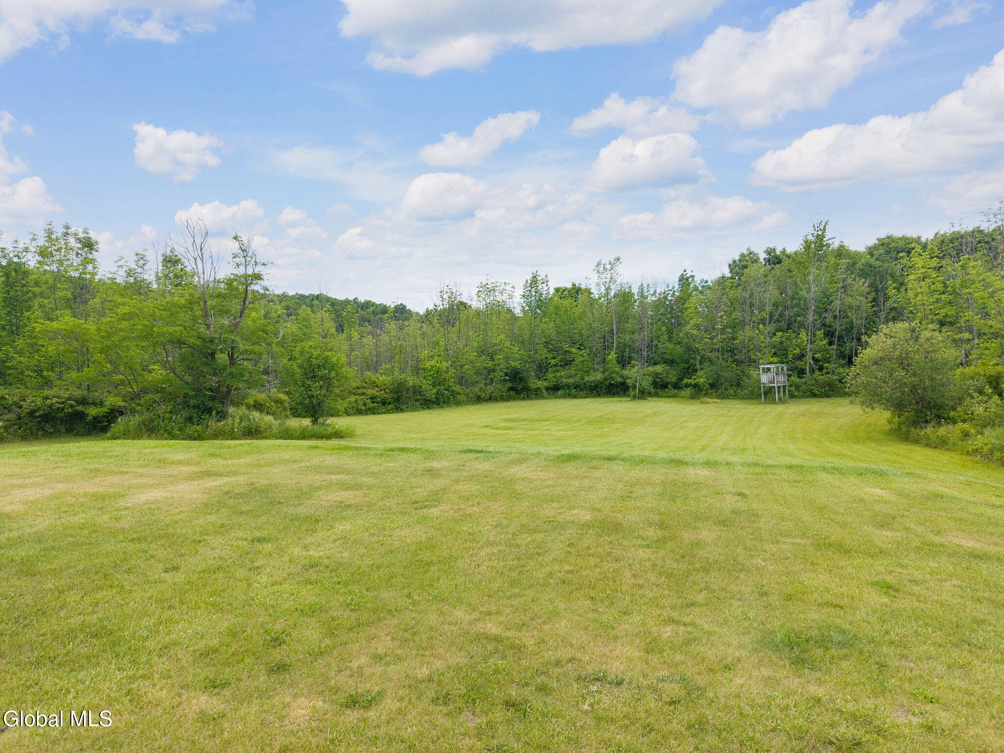 145 Three Track Mtn Road Warnerville, NY 12187 - Photo 44 of 50 49-145ThreeTrackMtnRd_49
