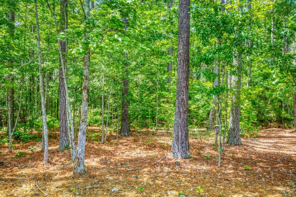 2529 Shockley Road Monroe, GA 30656 - Photo 41 of 48