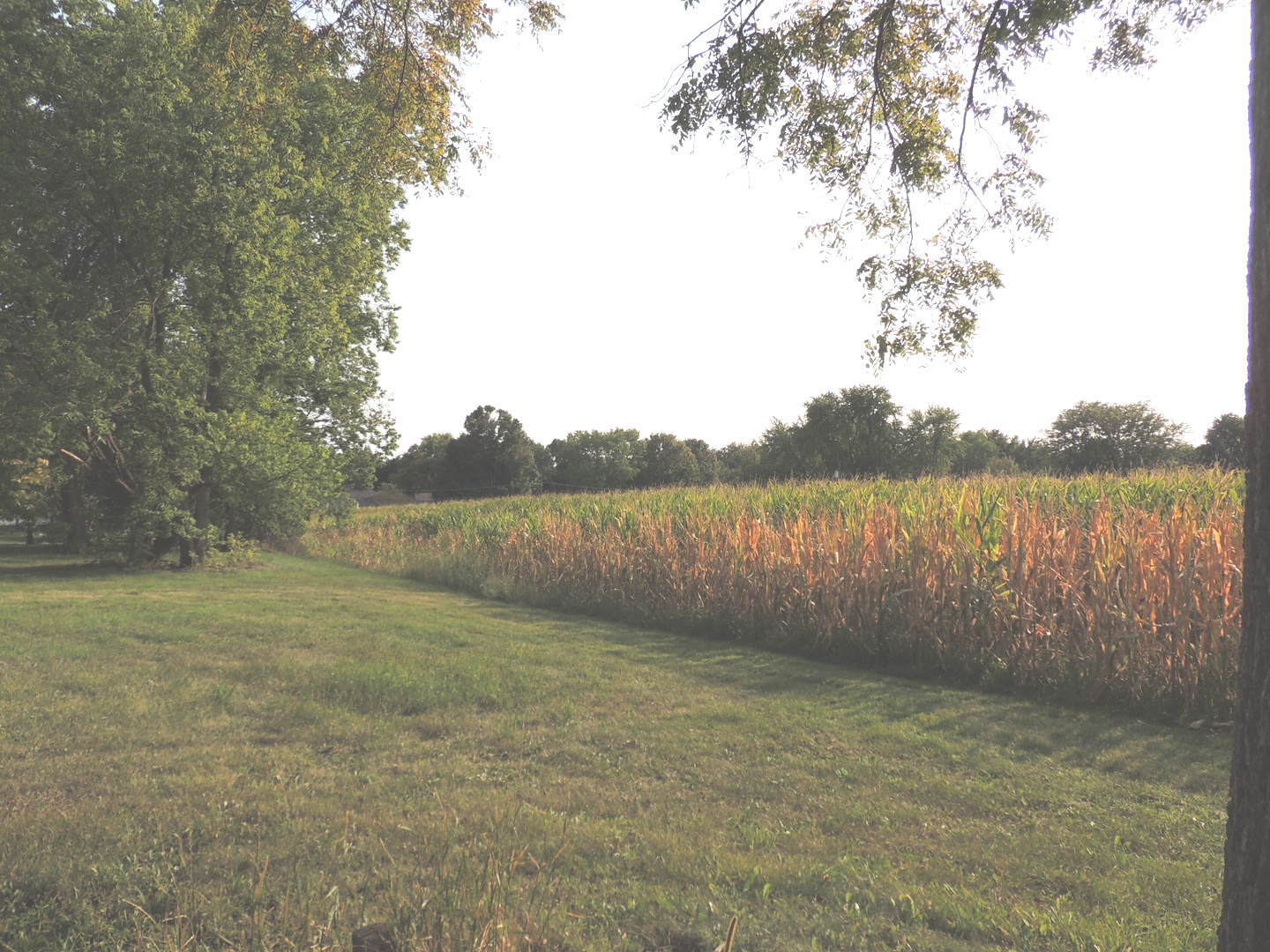 2110 Coltonville Road Sycamore, IL 60178 - Photo 3 of 16 Gallery Image 3