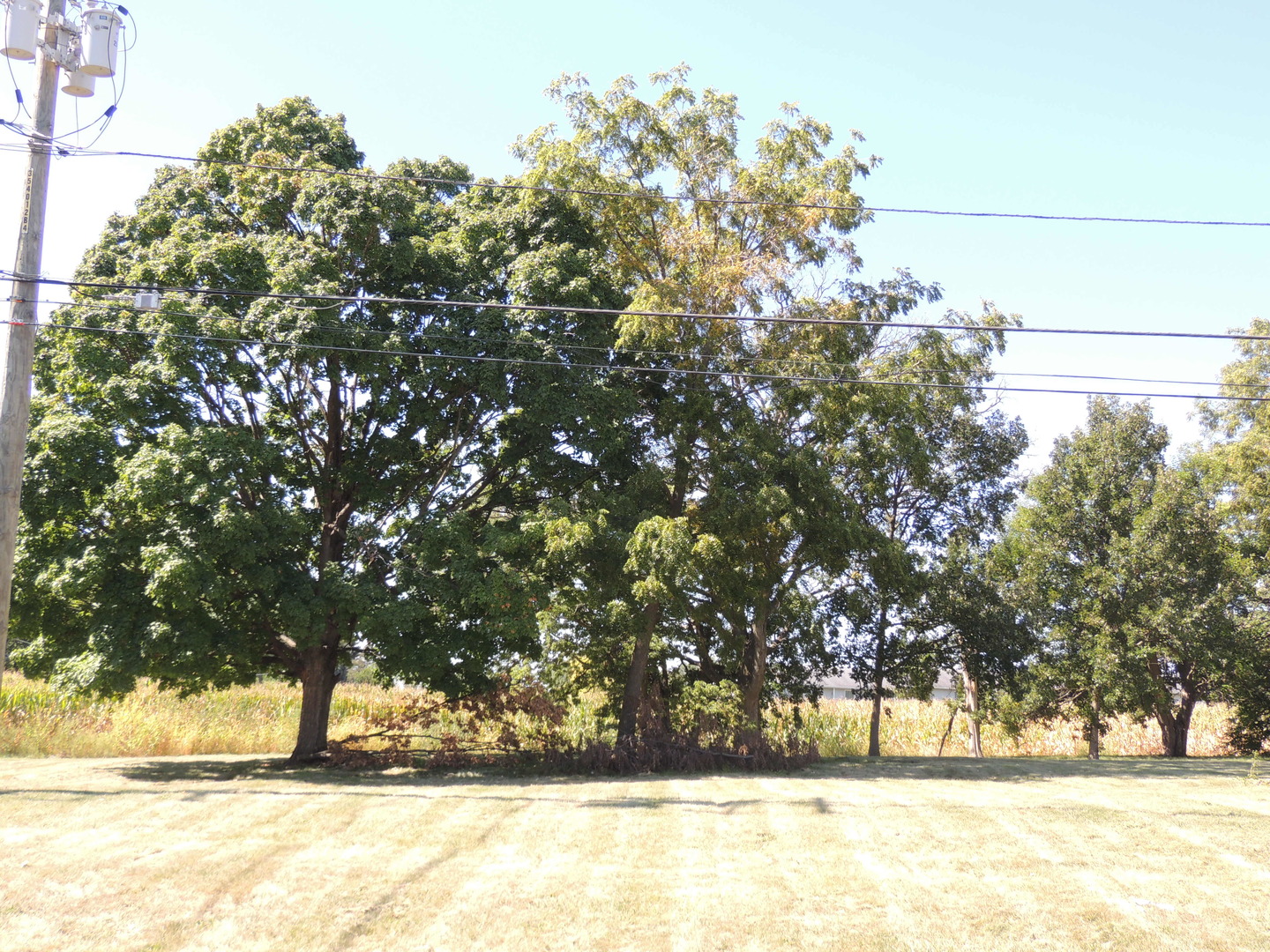 2110 Coltonville Road Sycamore, IL 60178 - Photo 9 of 16 Gallery Image 9