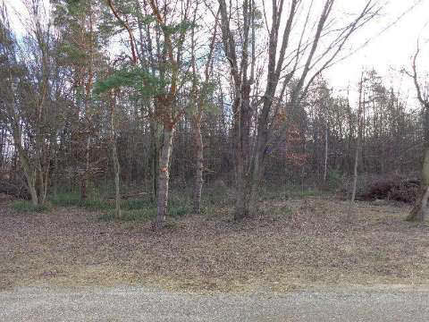 12432 North Nichols Road Montrose, MI 48457 - Photo 19 of 23 20387075-18.JPG
