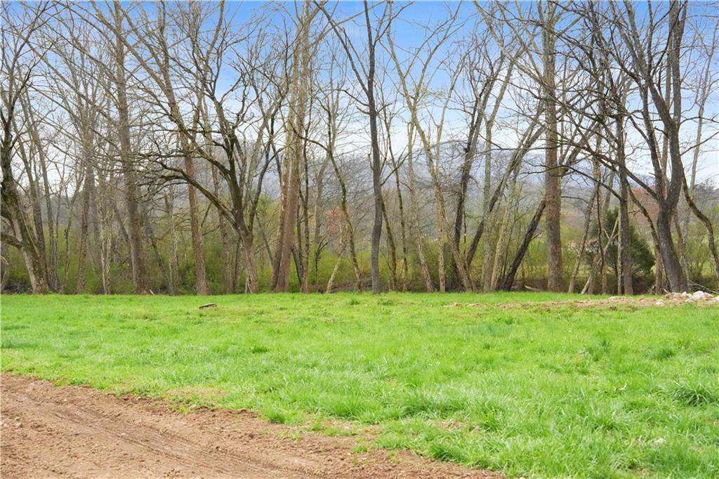 605 Lynch Mountain Road Sautee Nacoochee, GA 30571 - Photo 48 of 60