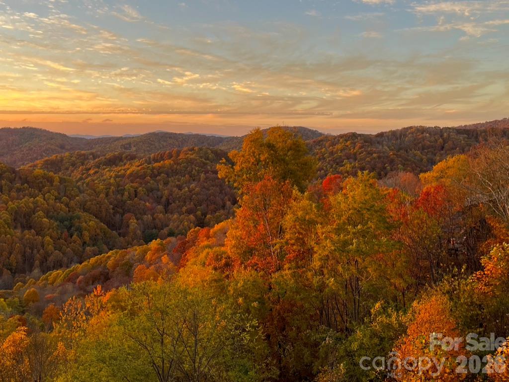109 Valley Heights Mars Hill, NC 28754 - Photo 2 of 33 Gallery Image 2