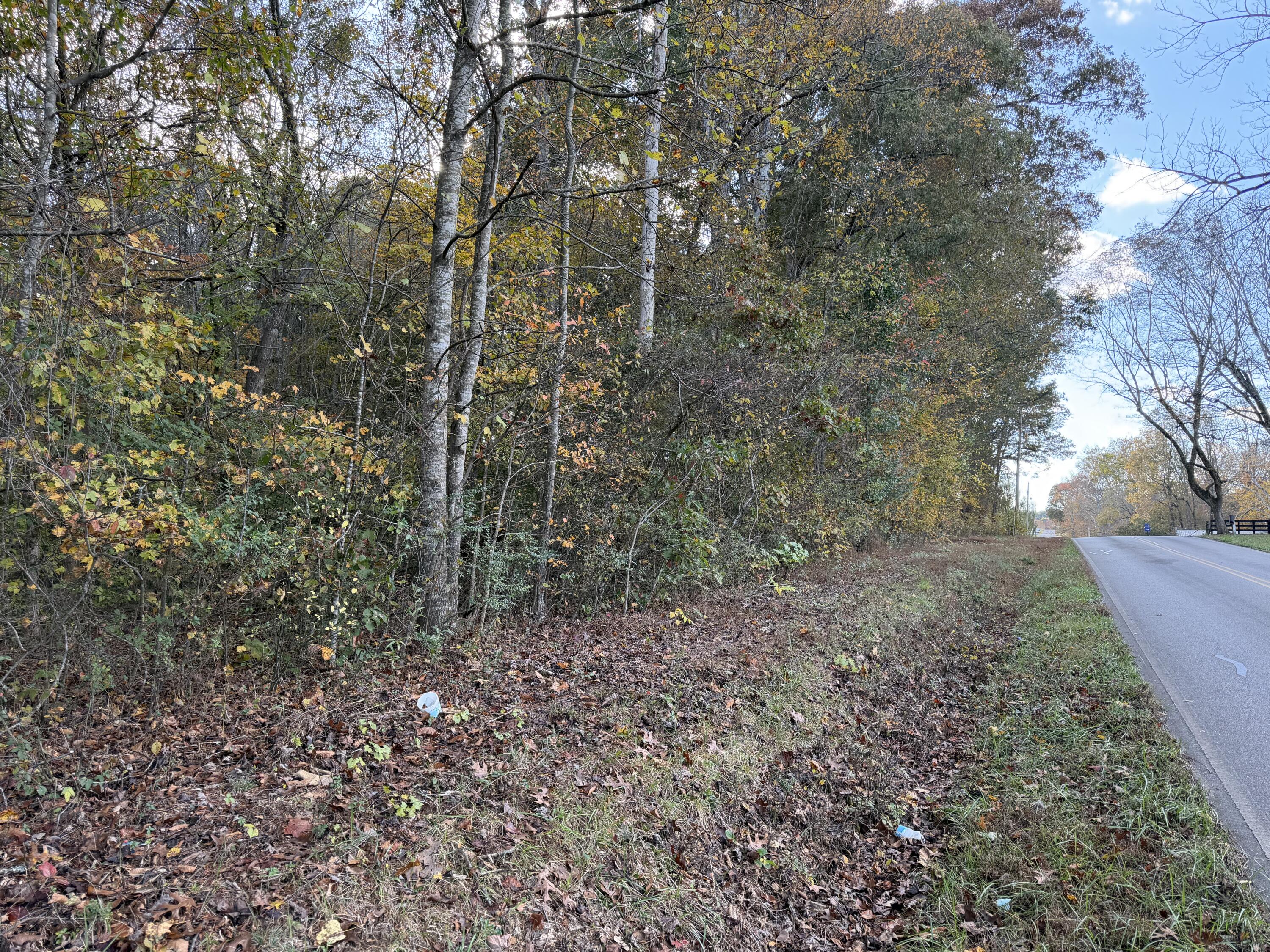 0 Co Road Athens, TN 37303 - Photo 3 of 11 IMG_4520