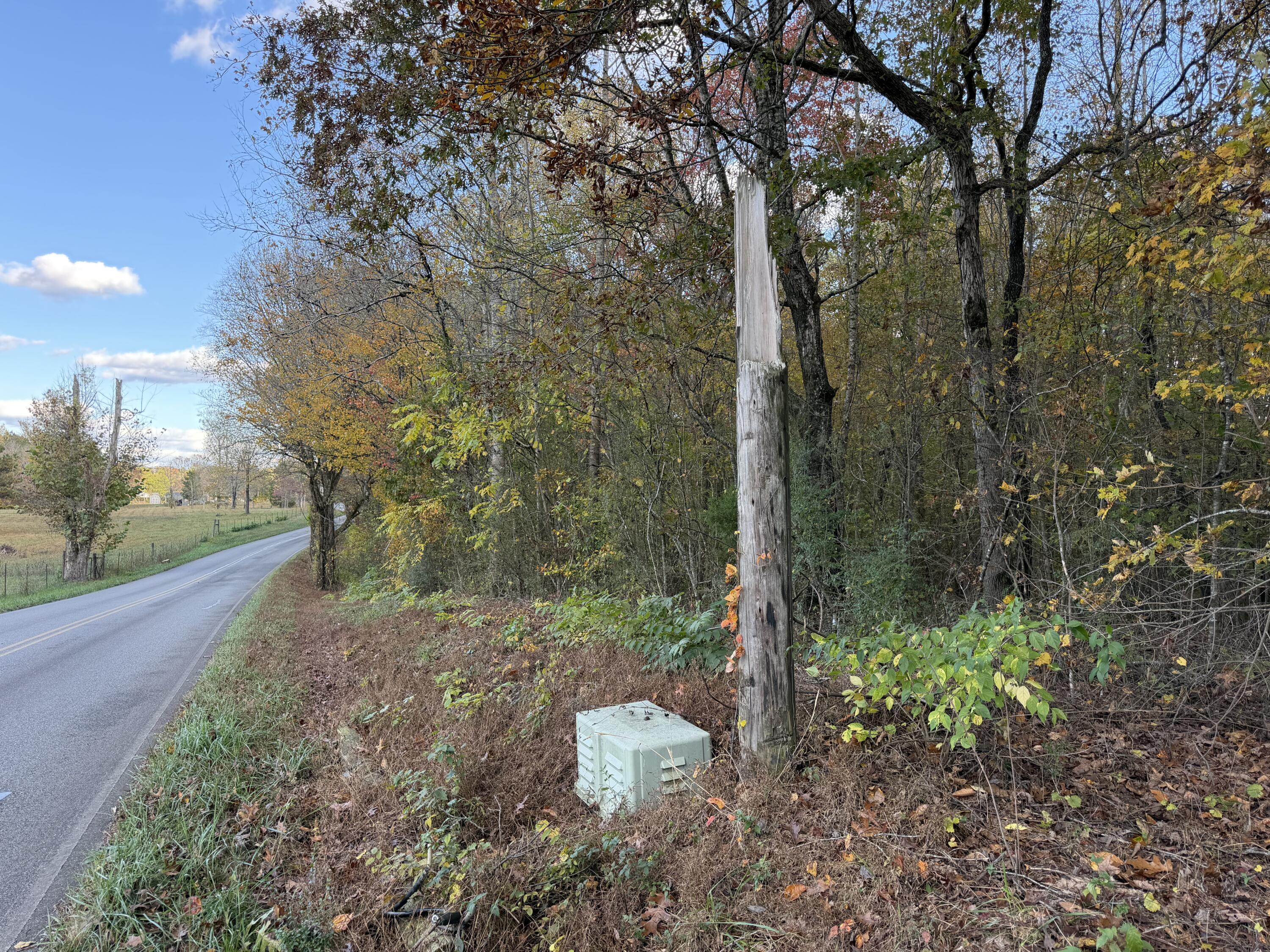 0 Co Road Athens, TN 37303 - Photo 4 of 11 IMG_4519