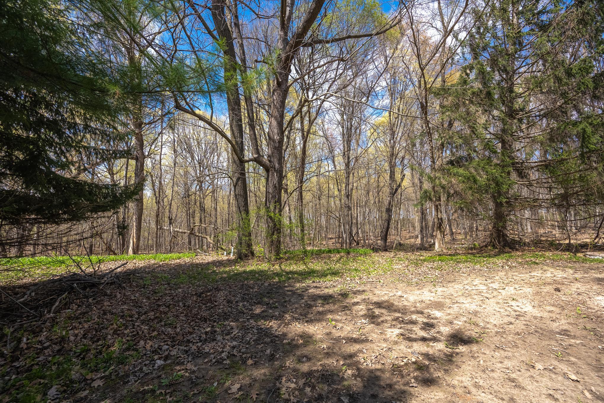 E5329 1370th Avenue Ridgeland, WI 54763 - Photo 33 of 42